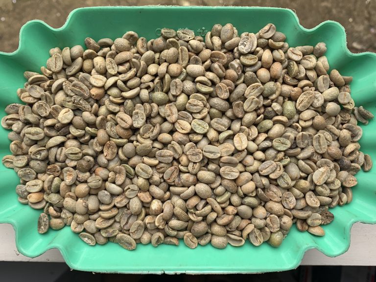 Commodities Arabica Coffee-S16-Clean