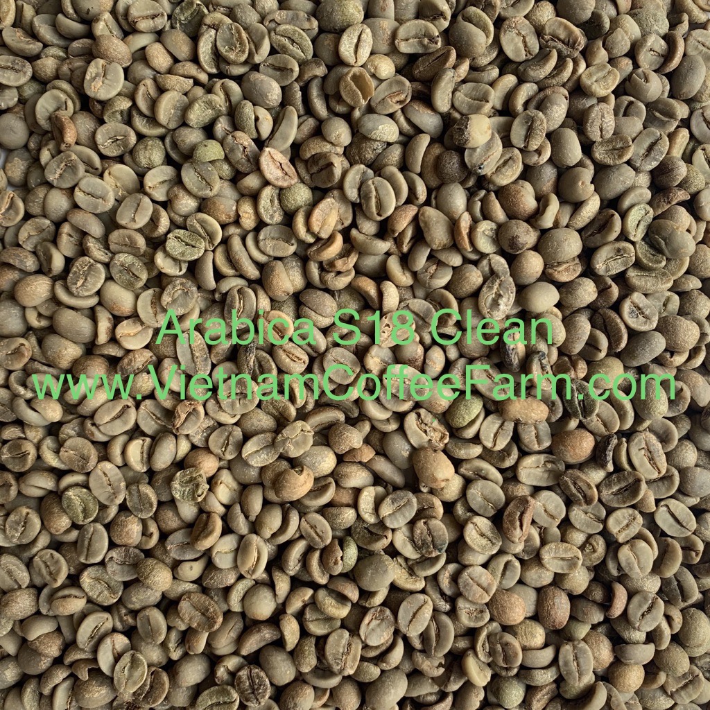 arabica s18 clean 2
