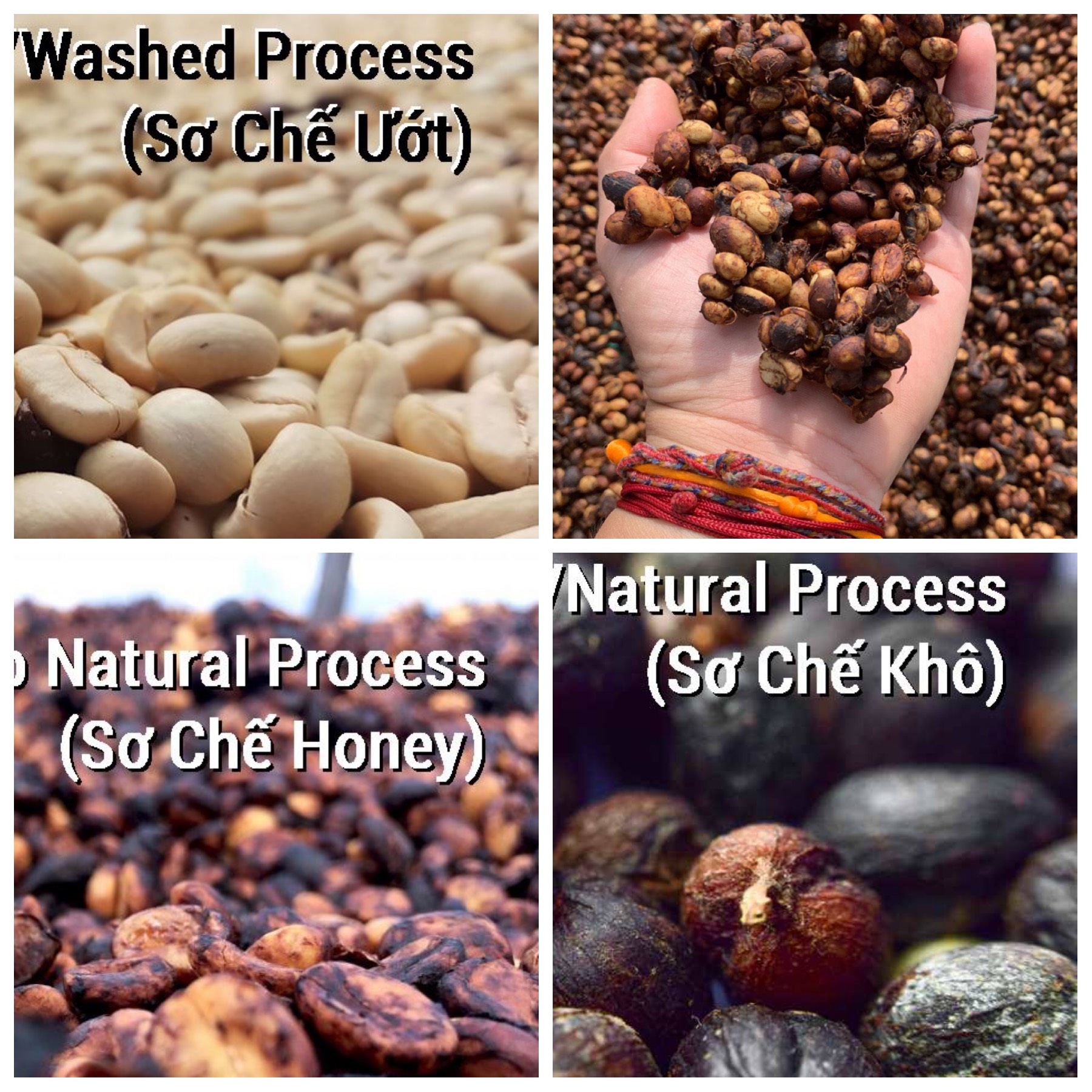 Processing