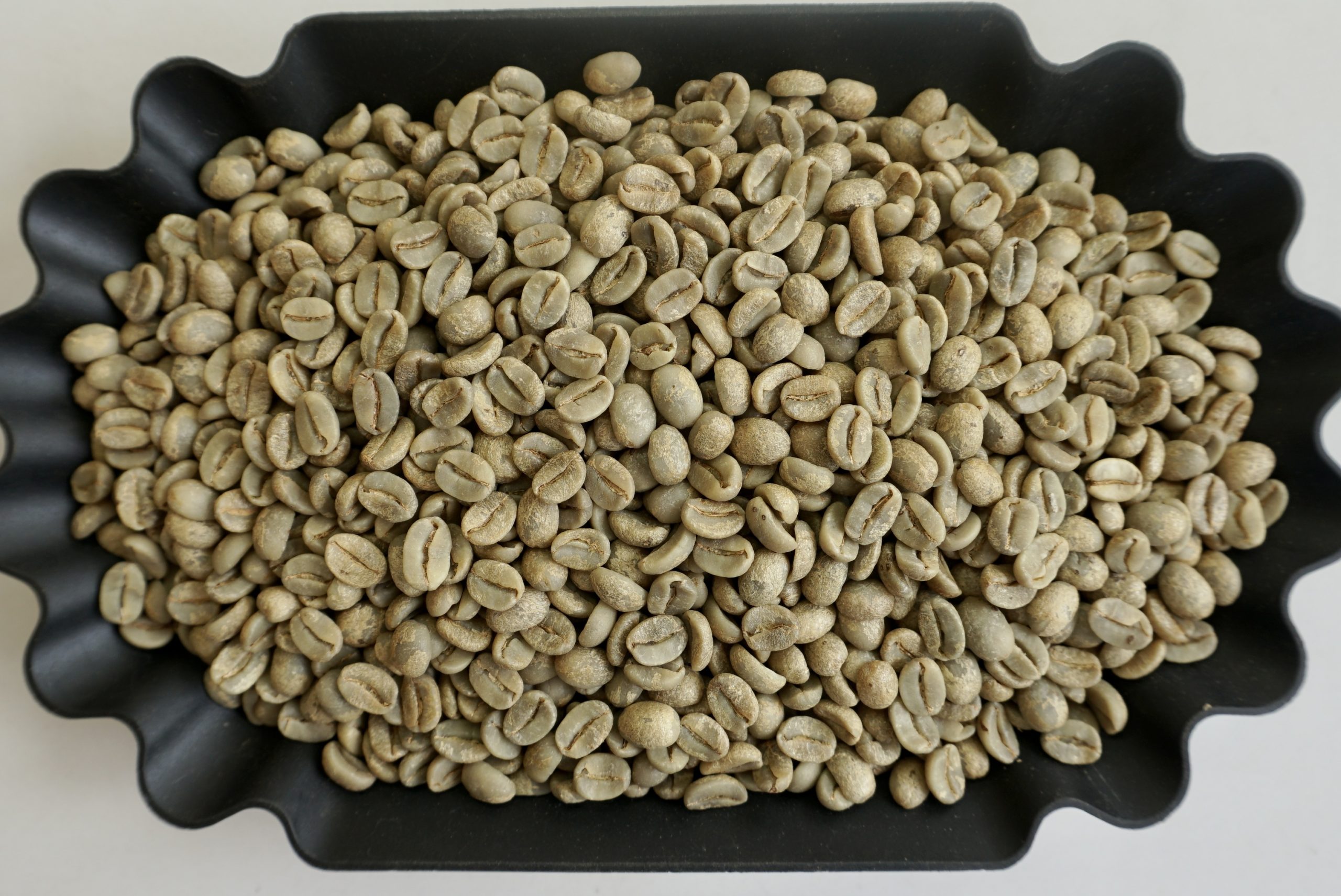 honey arabica DSC03037